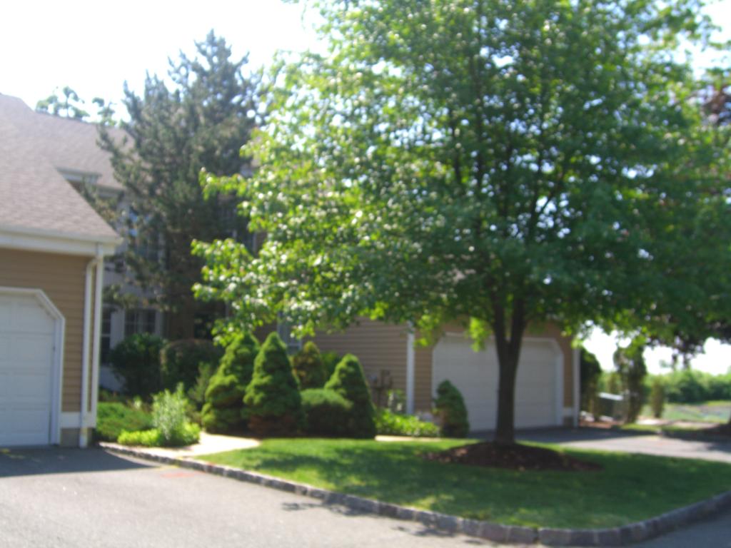 236 Crescenzi Court