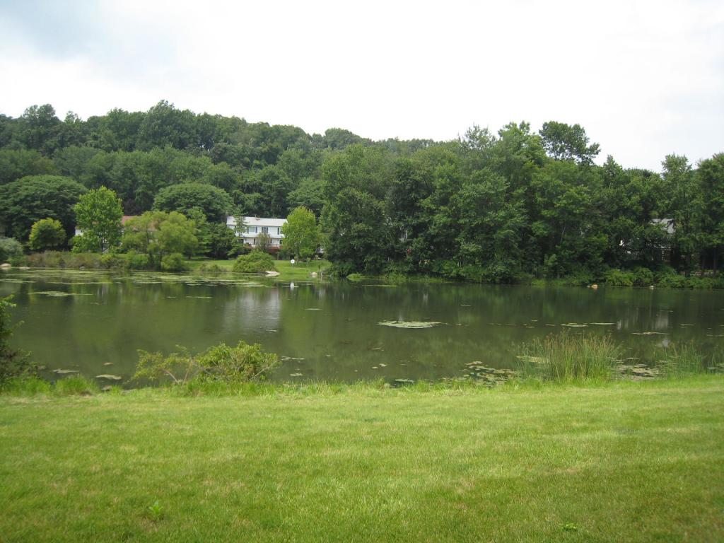 MLS #/Web ID: 2700863