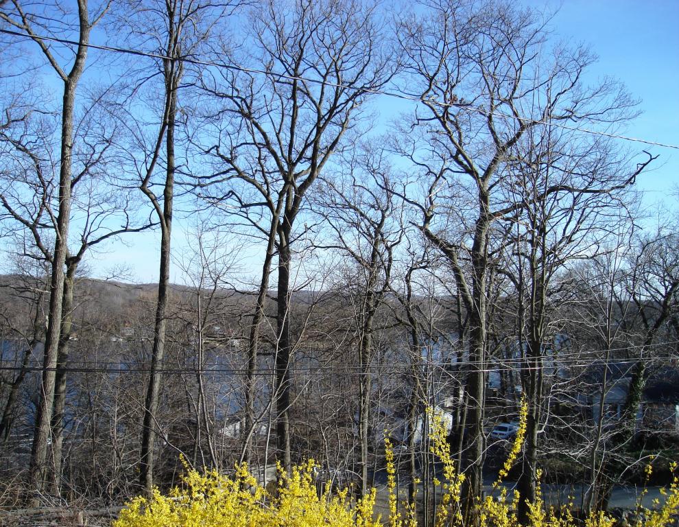 MLS #/Web ID: 2724863