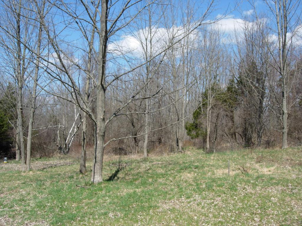 8 ROSLYN RD