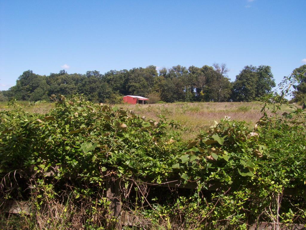 00 Seabrook Road