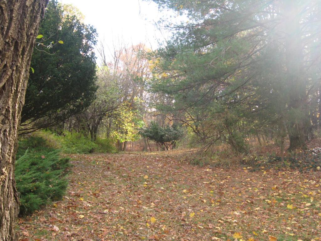 MLS #/Web ID: 2726364