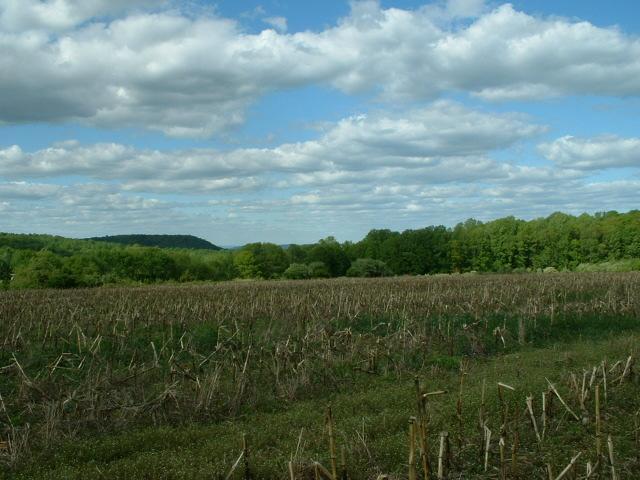00 BRASS CASTLE RD