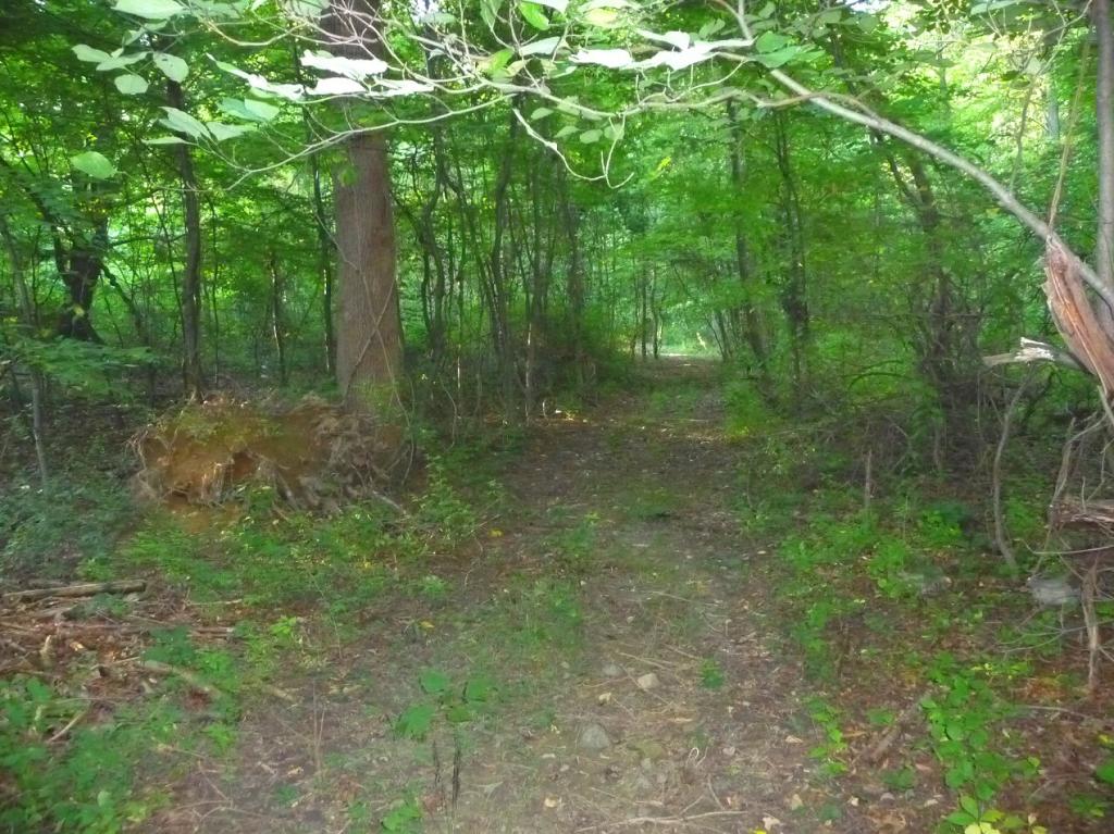 MLS #/Web ID: 2711266