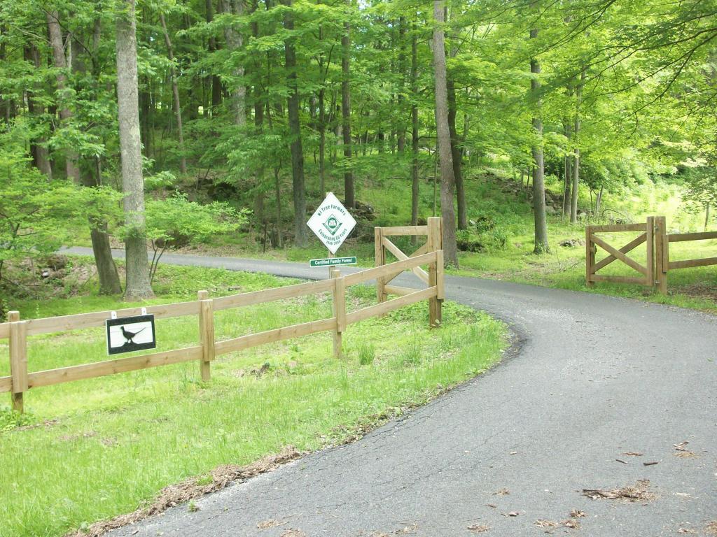 933 ROUTE 619