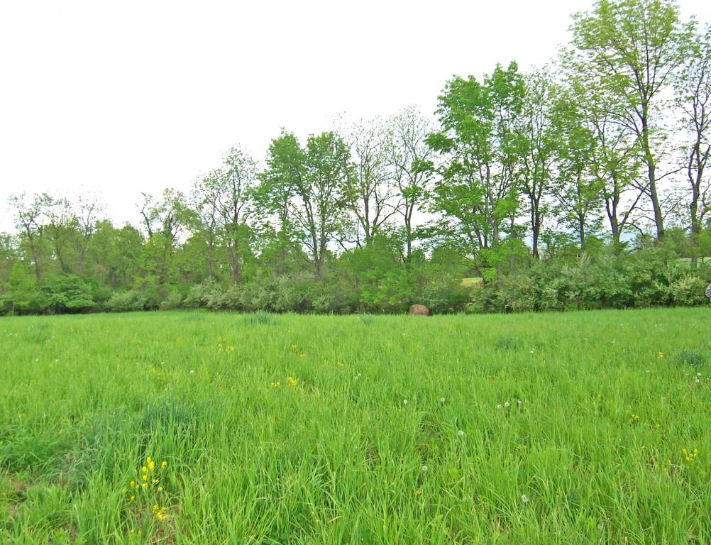 MLS #/Web ID: 2672667