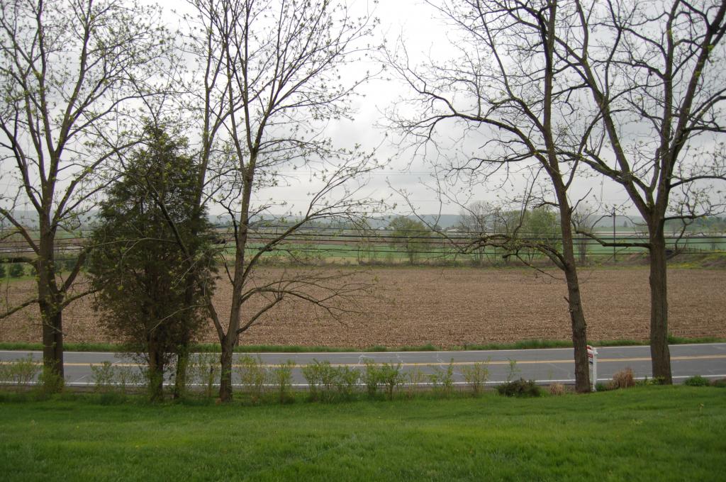 MLS #/Web ID: 2679868