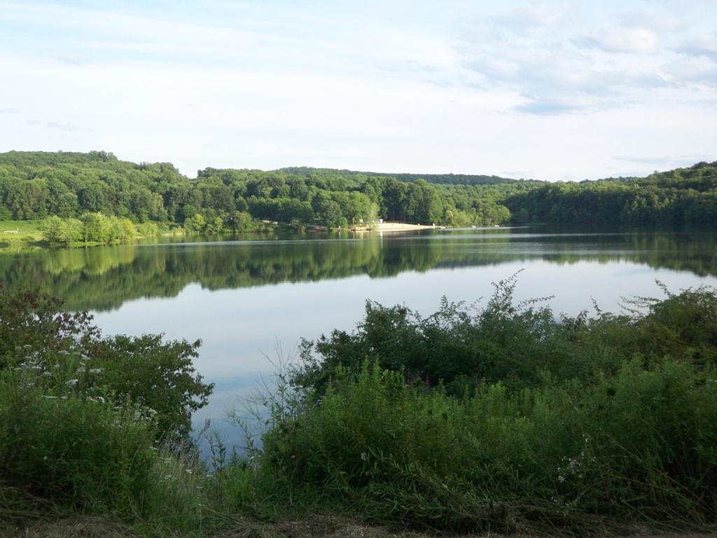 MLS #/Web ID: 2723769