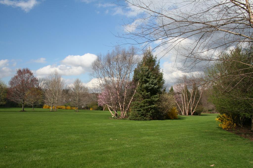 MLS #/Web ID: 2687070