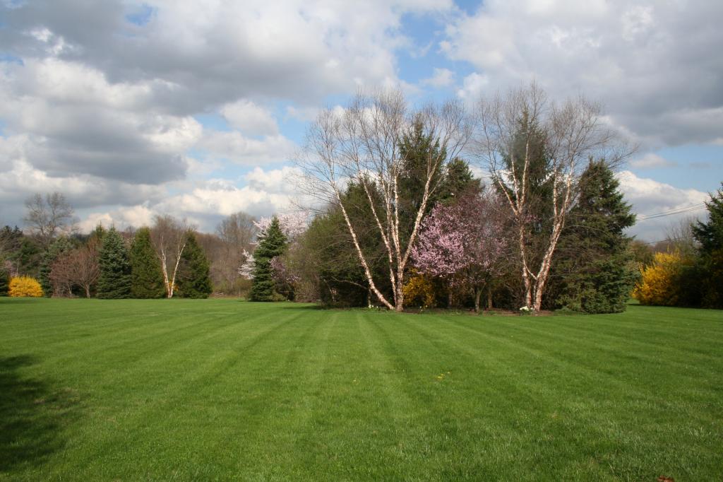 MLS #/Web ID: 2687070