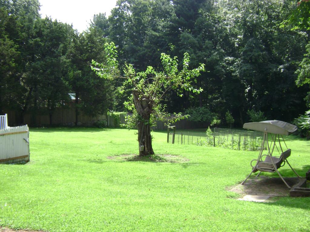MLS #/Web ID: 2707070
