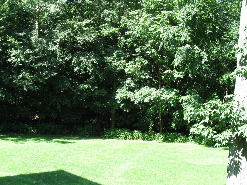MLS #/Web ID: 2720770
