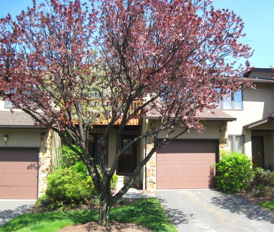 3 Dogwood Court