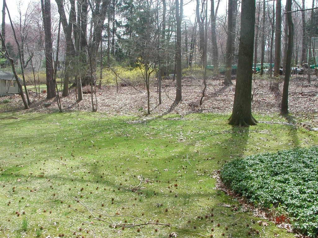 MLS #/Web ID: 2724071