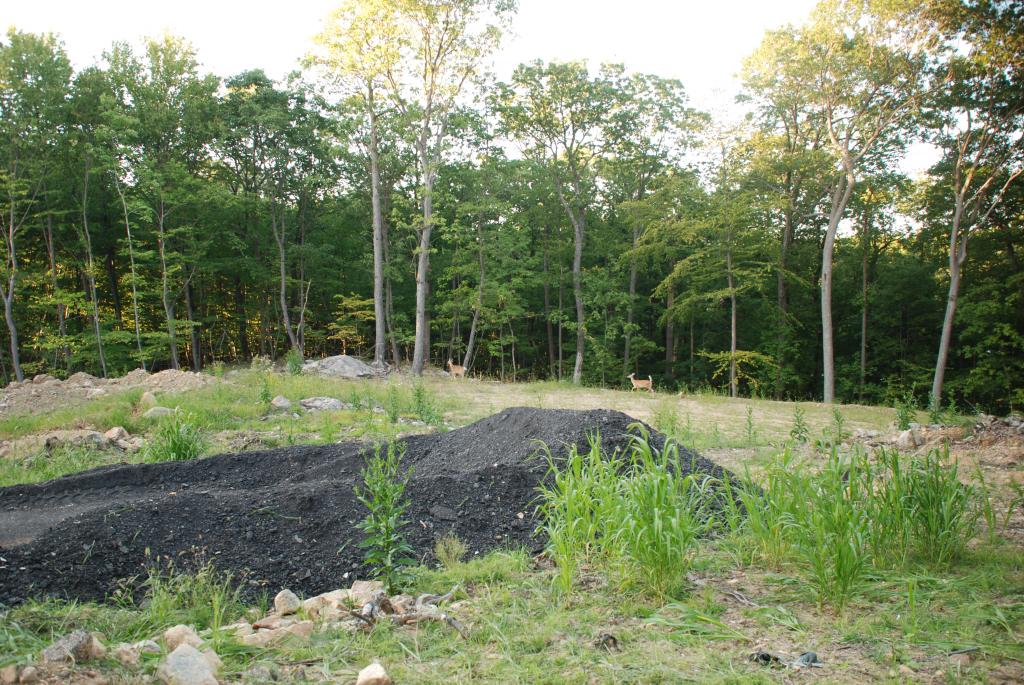 MLS #/Web ID: 2616272
