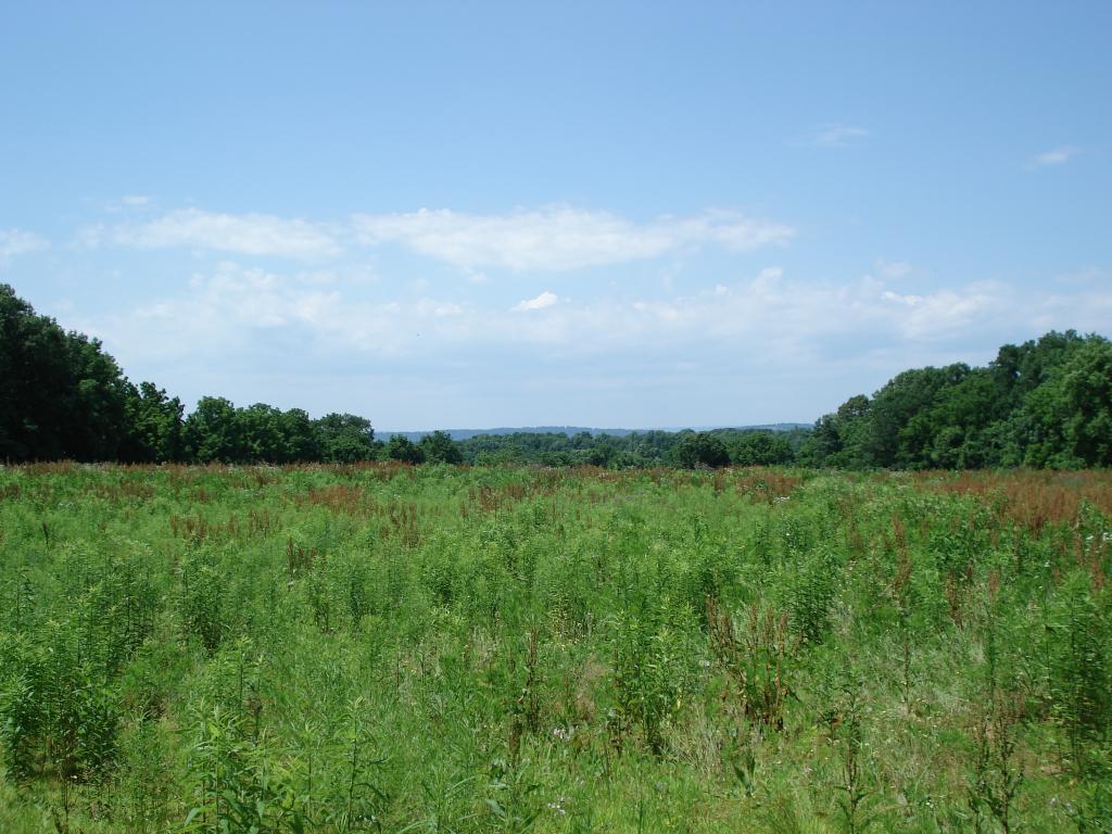 0 Still Valley Rd.