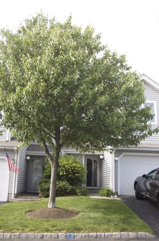 8 Davenport Rd