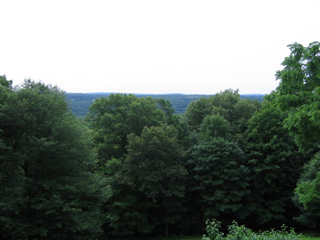 MLS #/Web ID: 2692172