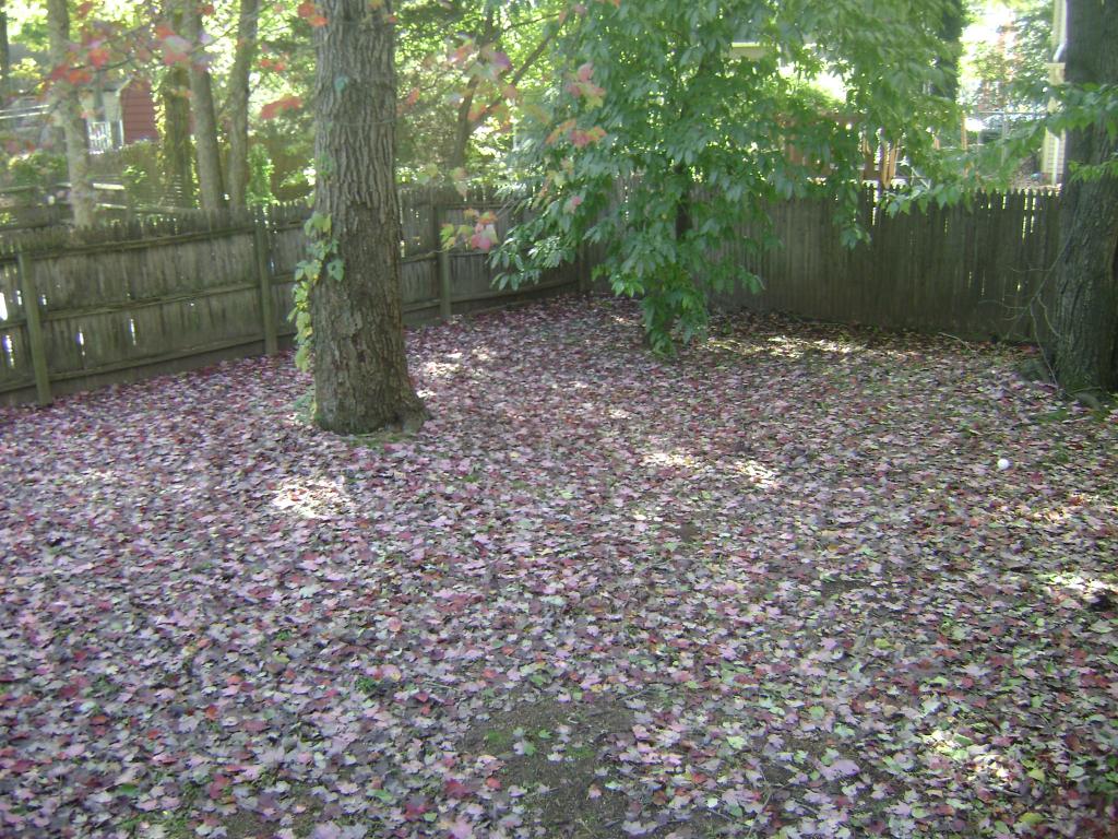 MLS #/Web ID: 2722772