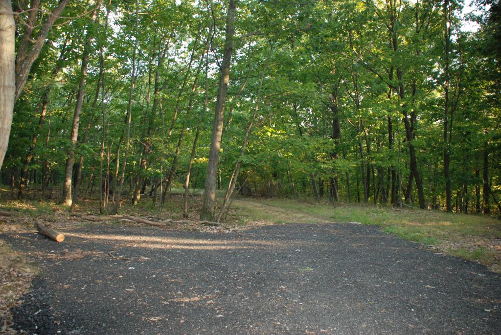 MLS #/Web ID: 2616273