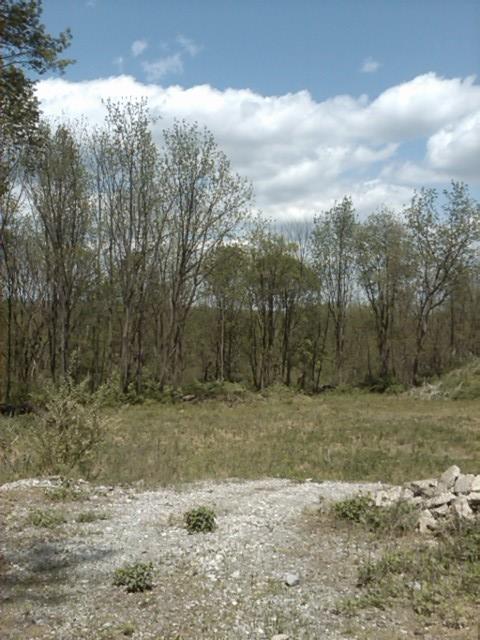 MLS #/Web ID: 2679773