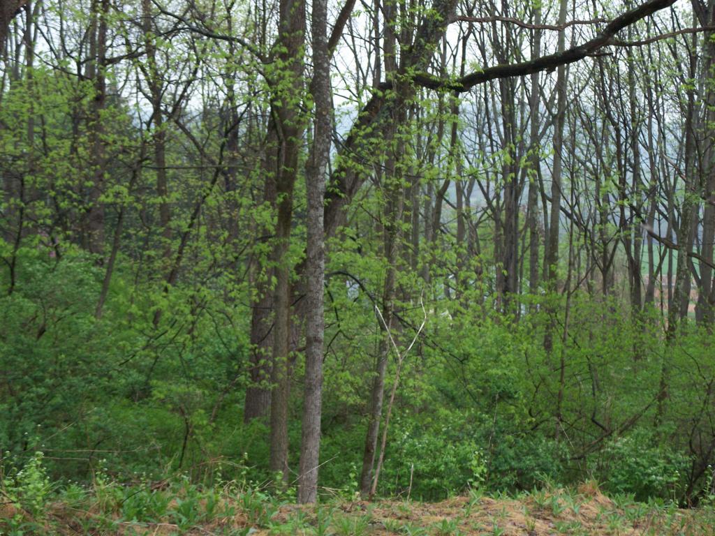 MLS #/Web ID: 2679773