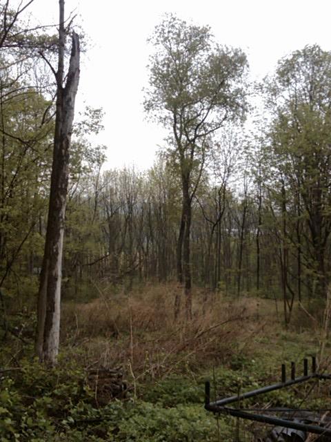 MLS #/Web ID: 2679773
