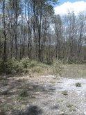 MLS #/Web ID: 2679773