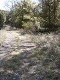 MLS #/Web ID: 2679773