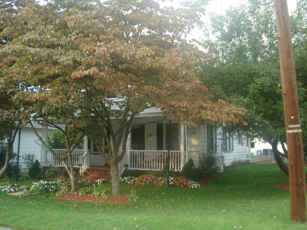 18 E.ELYCROFT AVENUE