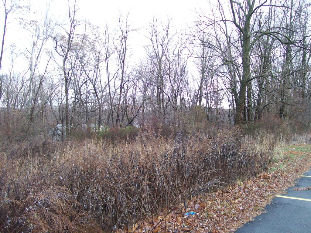 MLS #/Web ID: 2614474