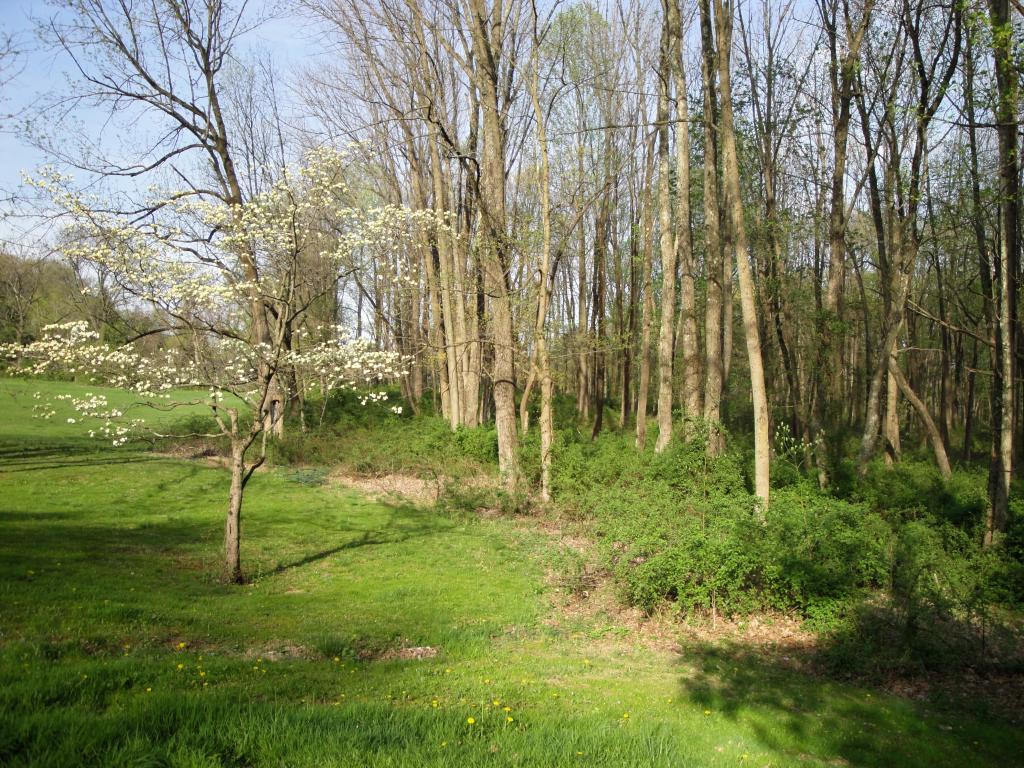 62 VILLAGE RD