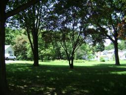 97 Parsippany Rd