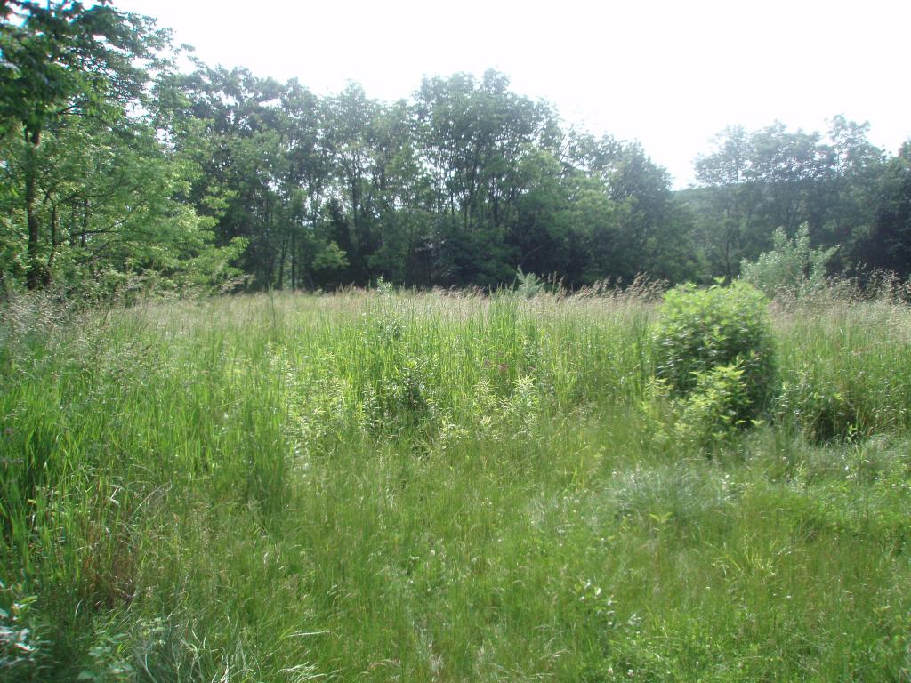 MLS #/Web ID: 2686875
