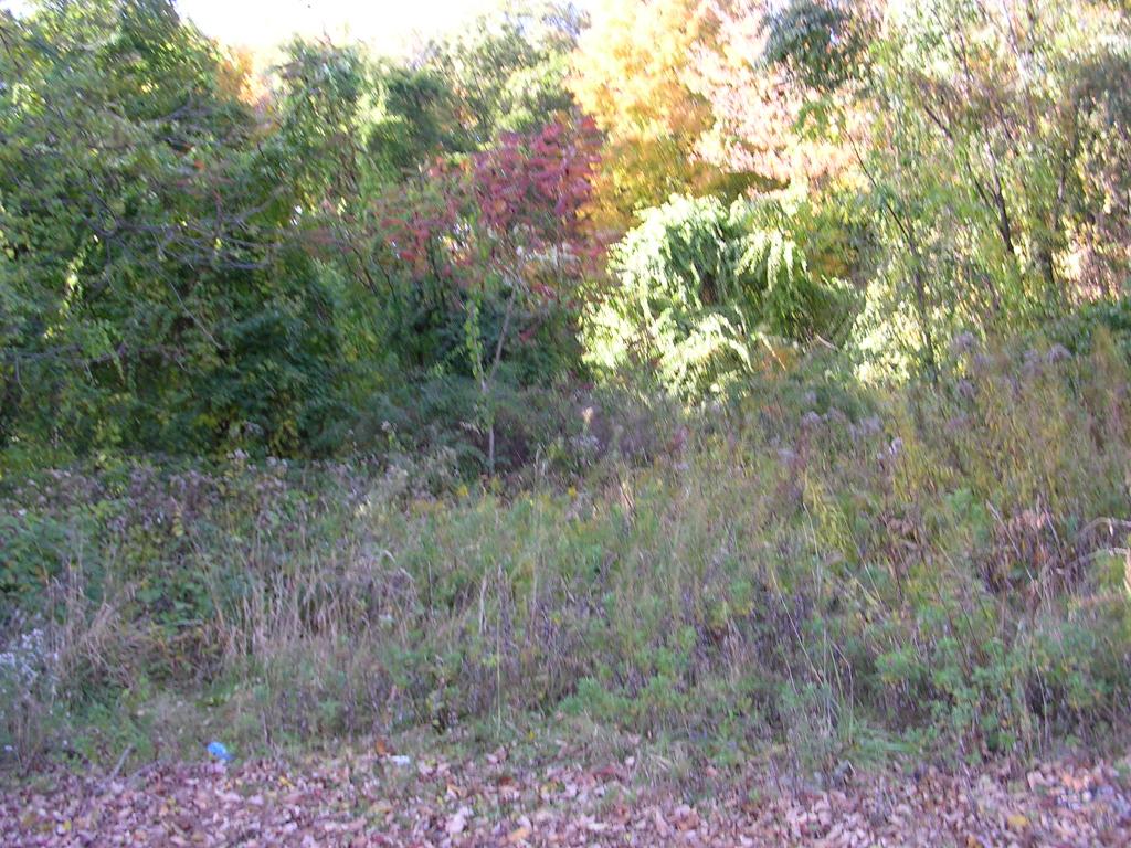 MLS #/Web ID: 2722475