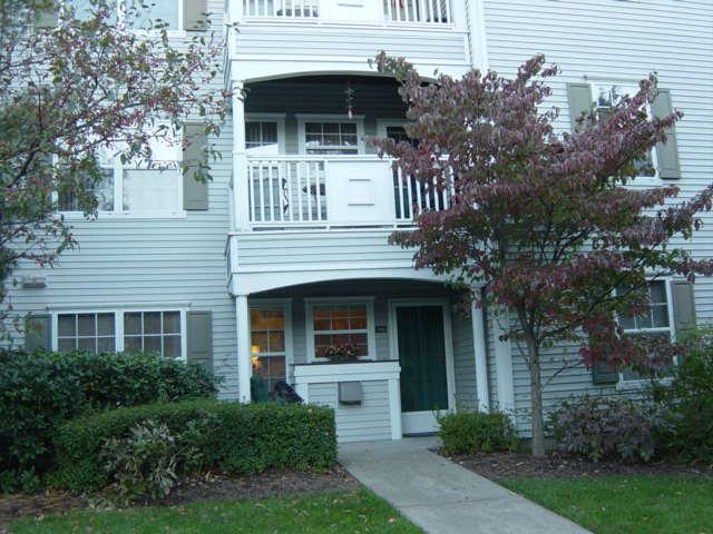 306 CHATFIELD DR