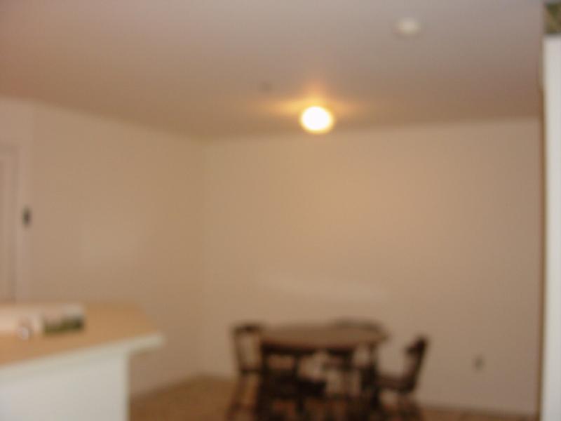 306 CHATFIELD DR