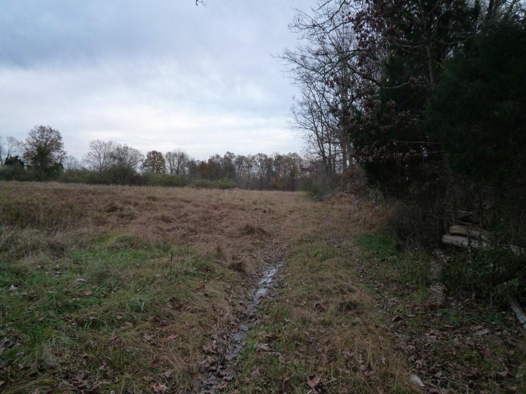MLS #/Web ID: 2724575