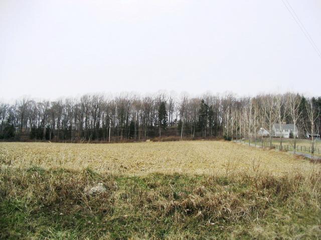 30 Hill & Dale
