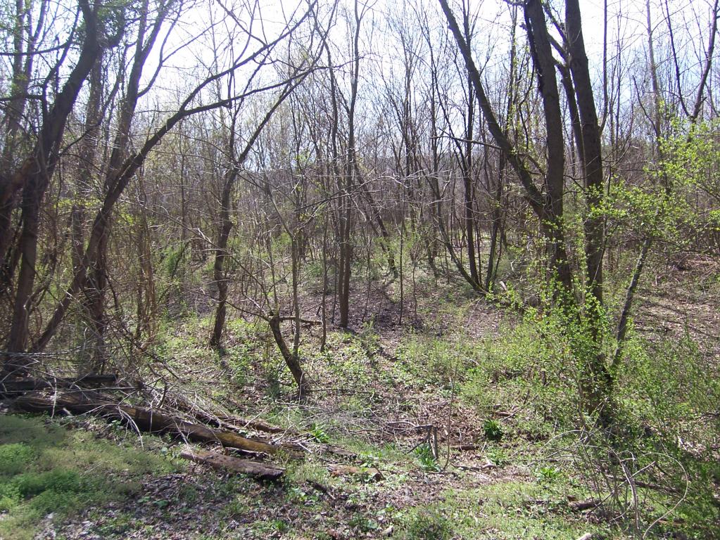 11 RIVER RD