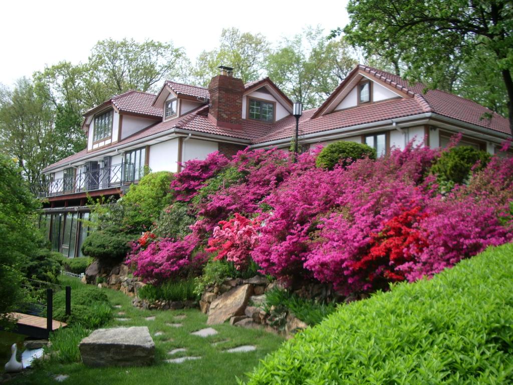 115 PHILLIP DR