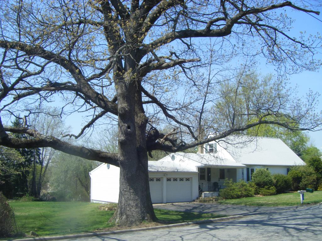 36 RANDALL AVE