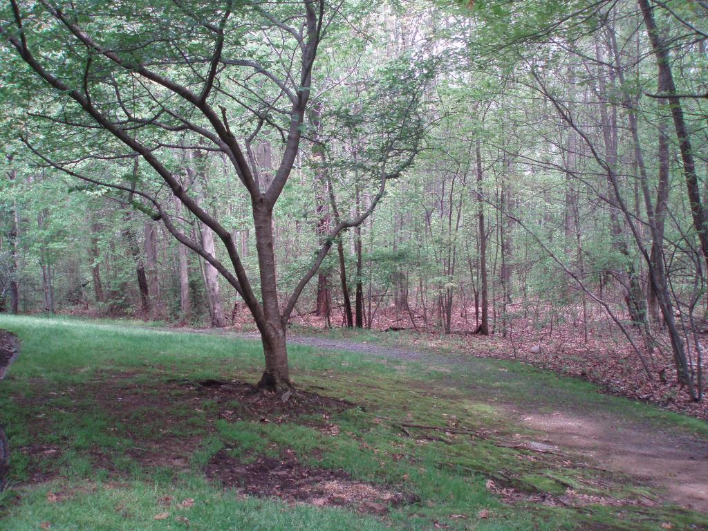 MLS #/Web ID: 2680078