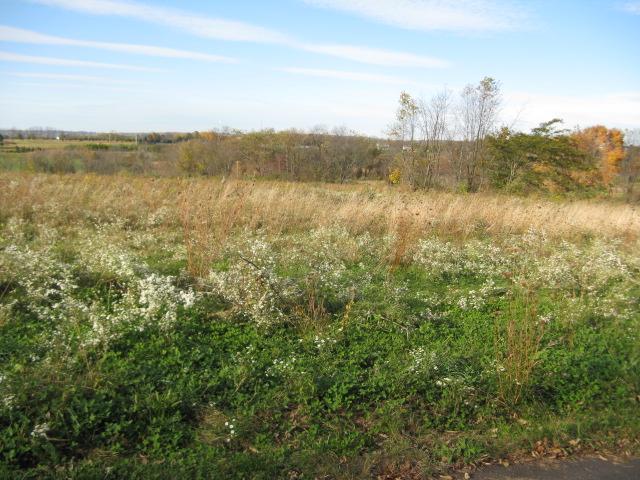 5.02 Winding Creek Lane