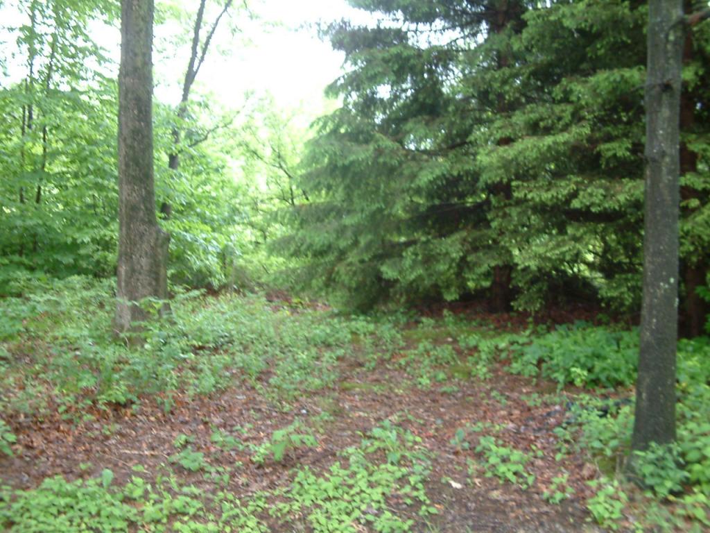 0 LANDING RD