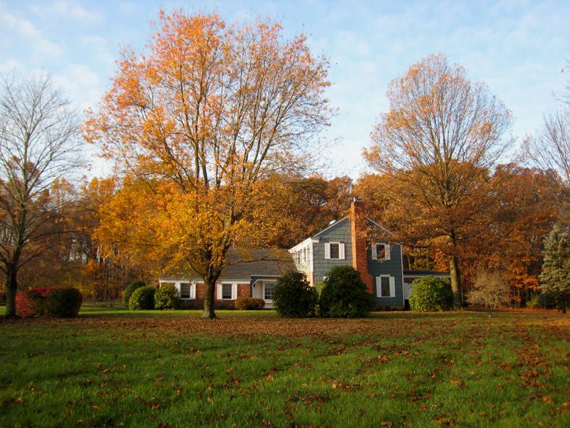 MLS #/Web ID: 2700878