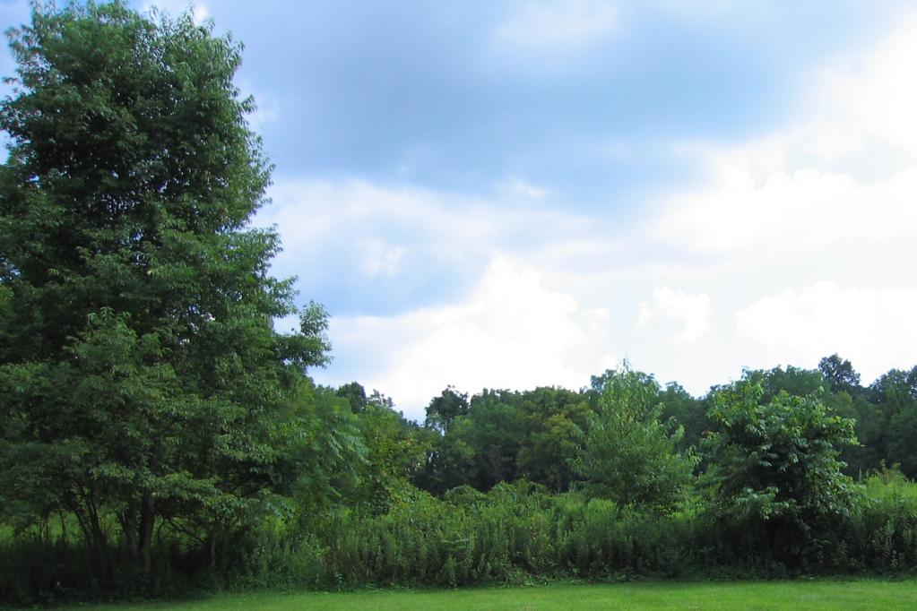 Real Estate for Sale, ListingId:13932680, location: 0 HARMONY STATION RD,LOT 1 Harmony Township 08865