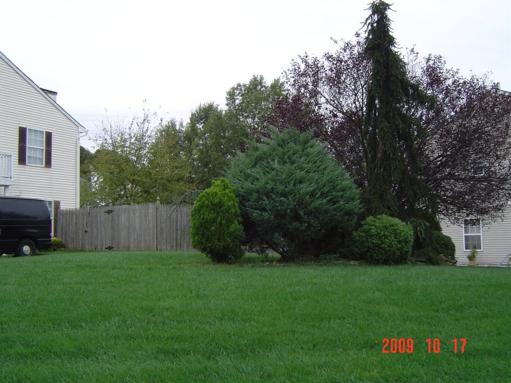 38 BREWSTER CIR