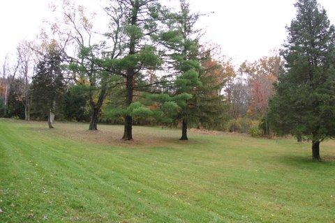MLS #/Web ID: 2725378