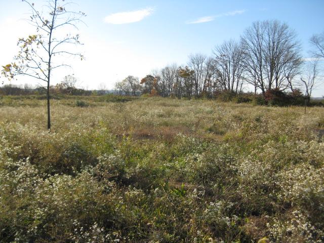 5.03 Winding Creek Lane